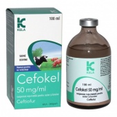 Цефокел 50 мг/мл